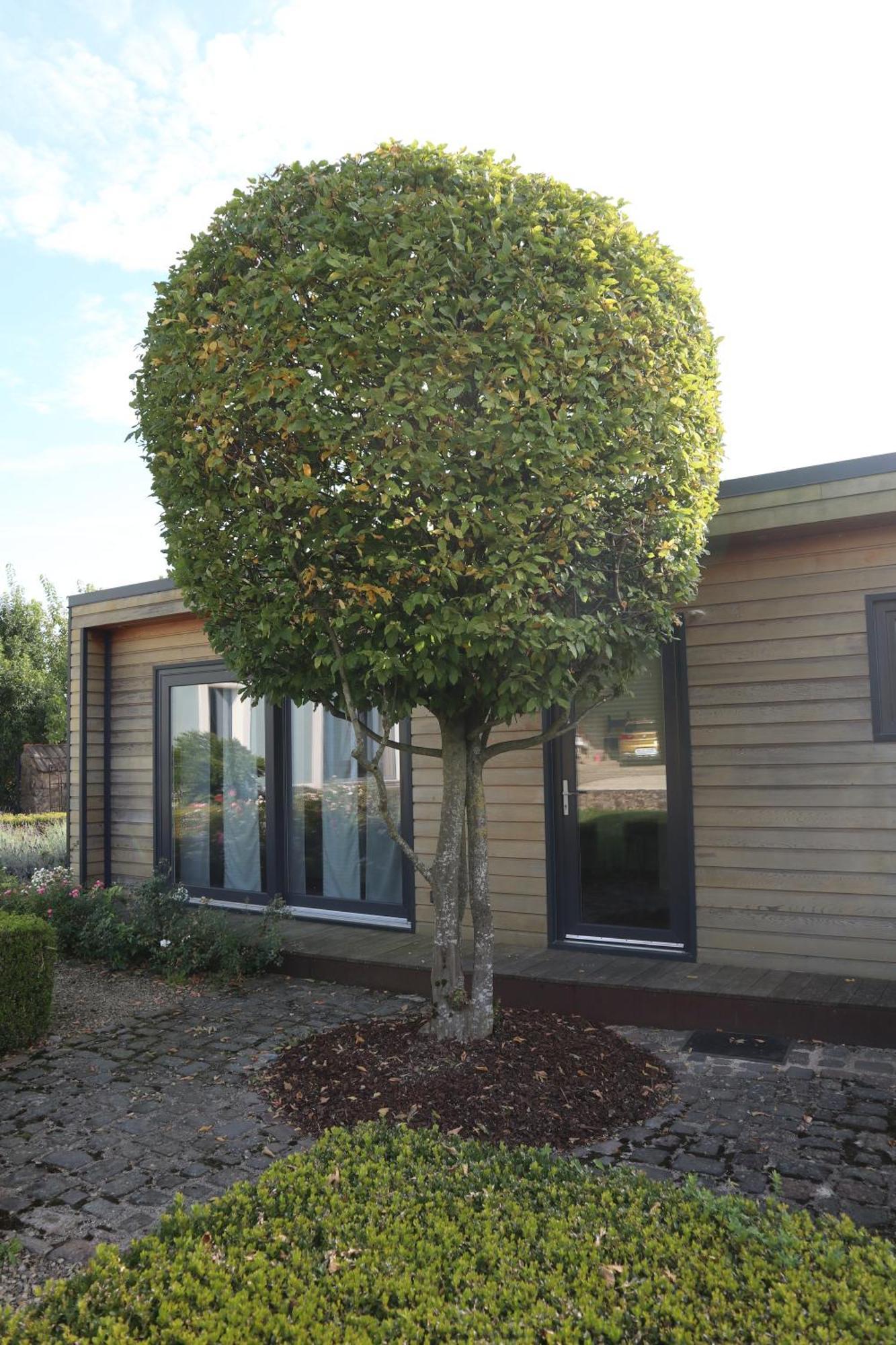 Ferienwohnung Tinyhouse Perl Exterior foto